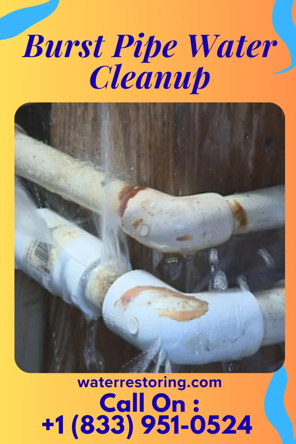 Burst Pipe Water Cleanup in Wyomissing, PA