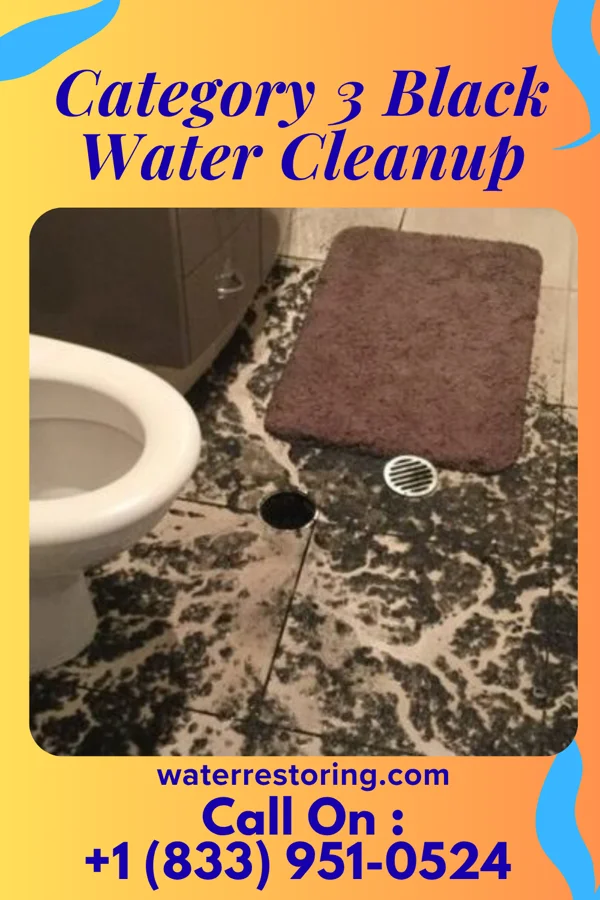 Category 3 Black Water Cleanup in Wyomissing, PA