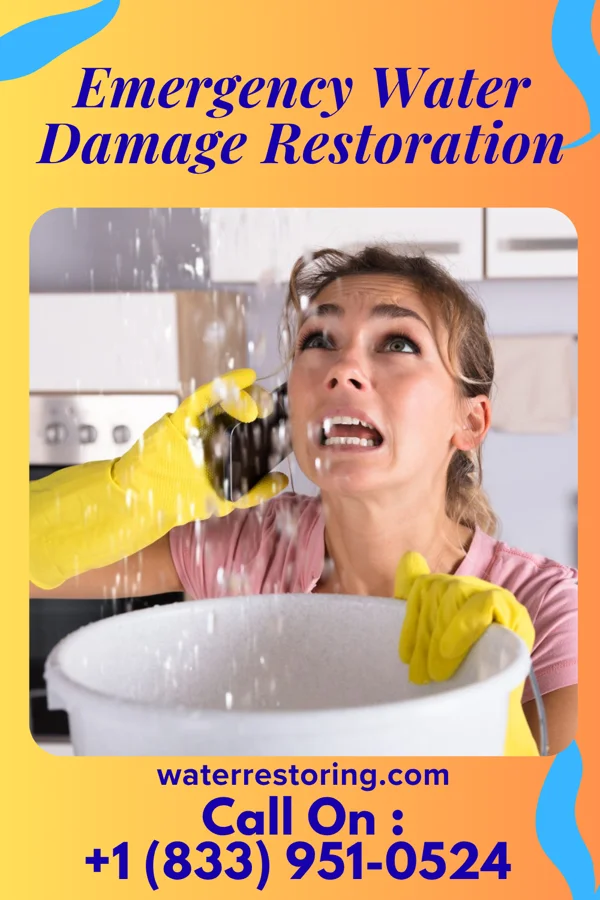 Emergency Water Damage Restoration in Wyomissing, PA