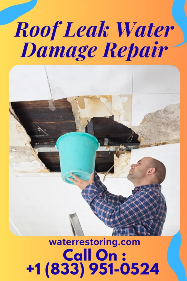 Roof Leak Water Damage Repair in Wyomissing, PA