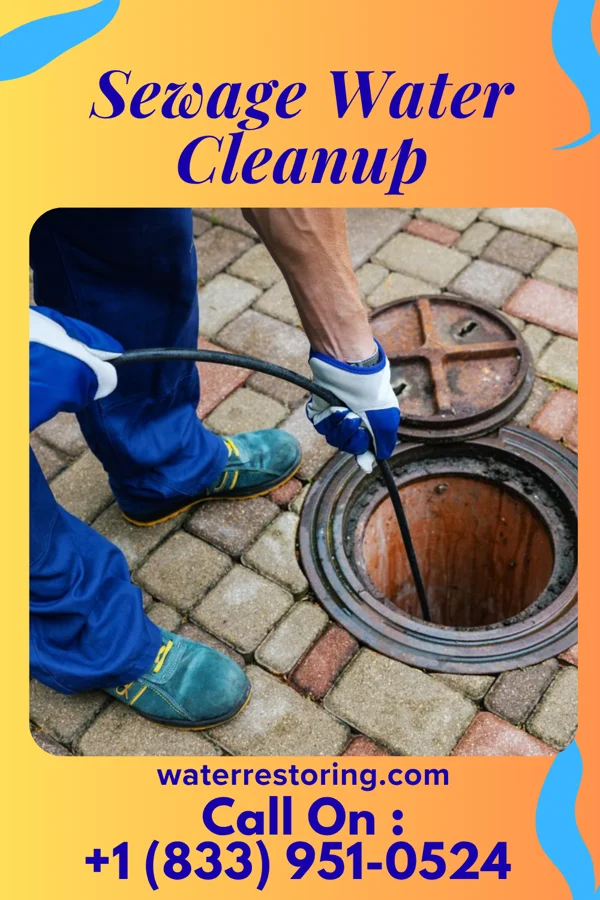 Sewage Water Cleanup in Wyomissing, PA